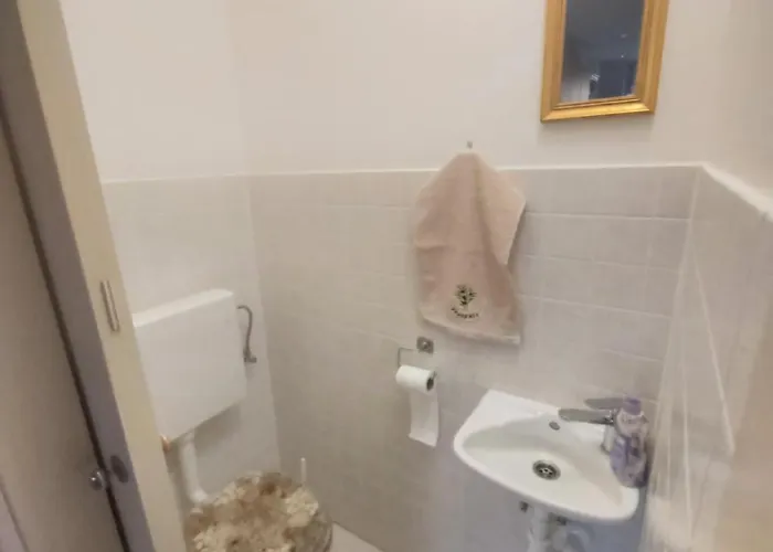 Luce With Shared Pool זאדאר